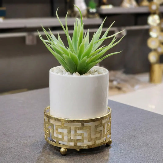 Elegant Succulent with Gold Stand