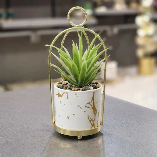 Golden Cage Marble Succulent
