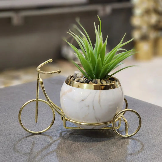 Marble Ride Succulent Planter