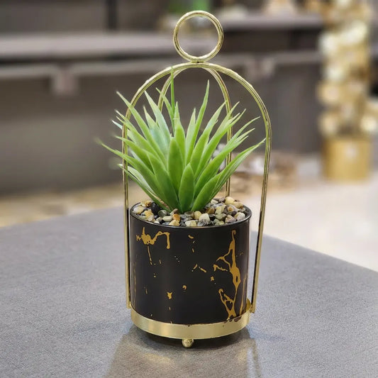 Noir Cage Marble Succulent